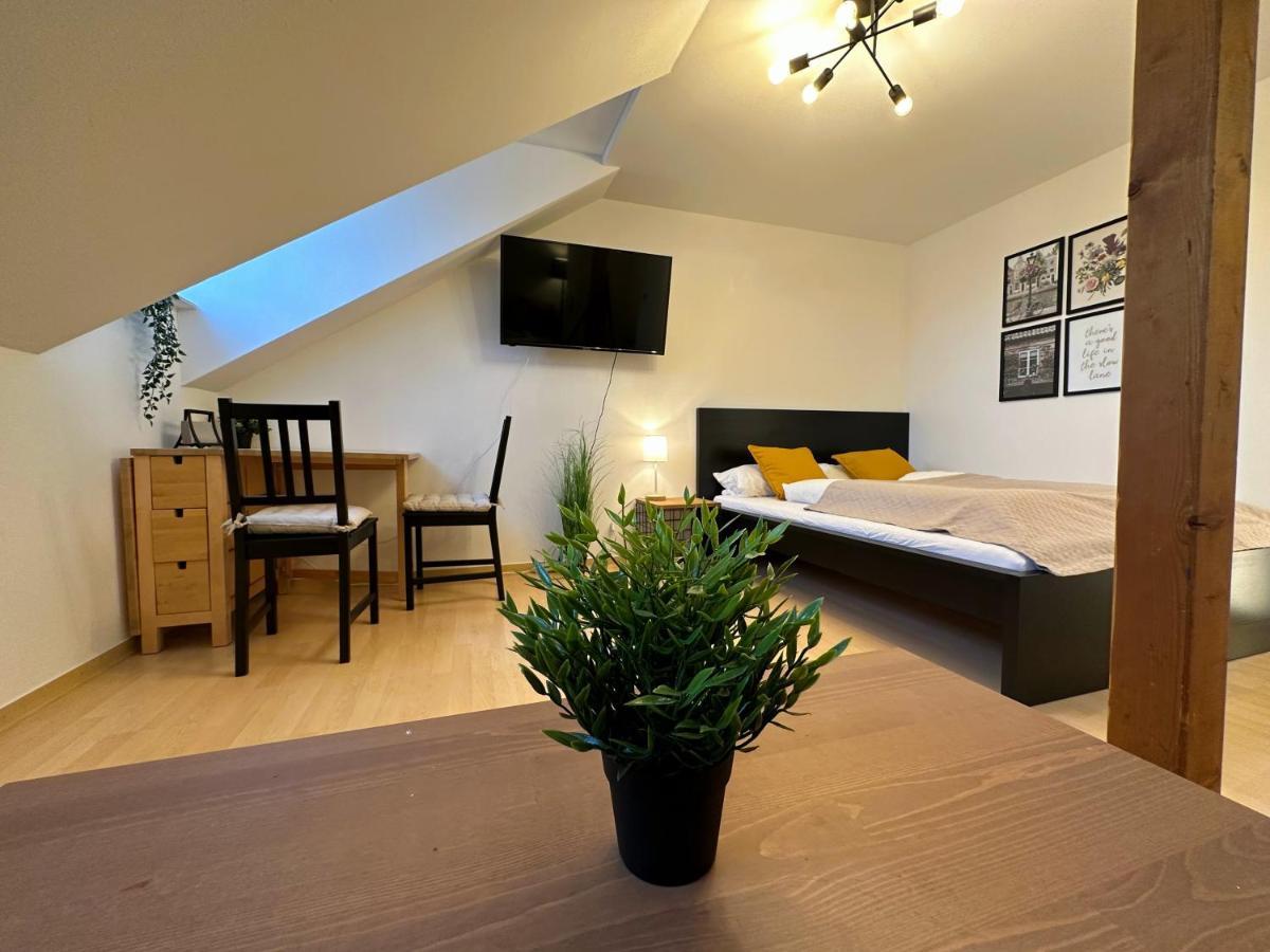 Gemuetliche, Charmante Ferienwohnung Naehe Zentrum 普劳恩 外观 照片